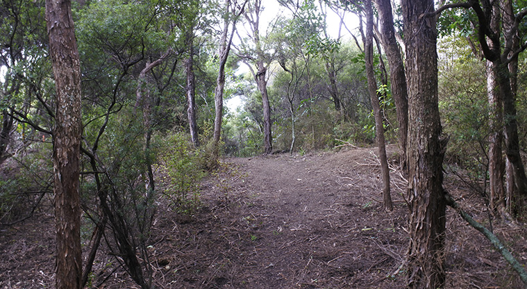 McKenzie Reserve Path - A path section takes you up and over a ridge to Coromandel Road. The accessibility here has recently been upgraded.