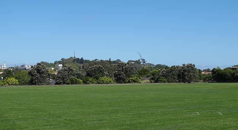 Melville Park Path - Views to Maungakiekie – One Tree Hill.