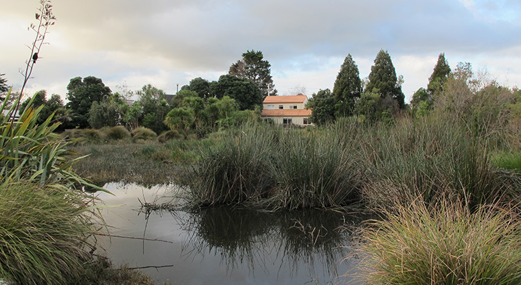 Michaels Avenue Reserve Path - A section of the path passes through wetland, great for bird watching.