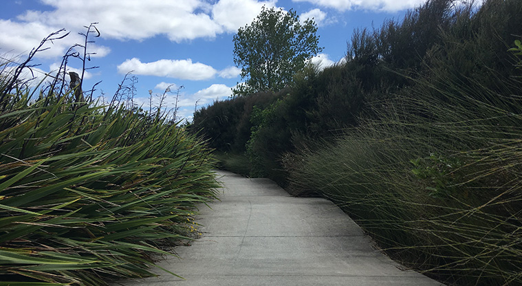 Millwater Path - Small pump track at Timberlands Reserve playground.