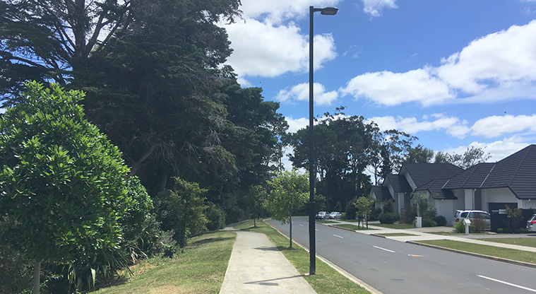 Millwater Path - Typical section of the path on Harris Drive.