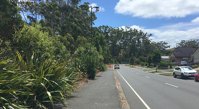 Millwater Path - Footpath down Millwater Parkway.