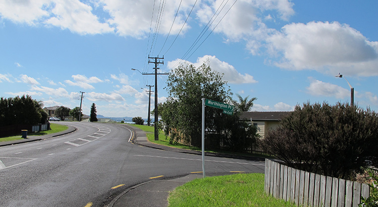 Moire Park Path - From Luckens Road turn down Worthington Place.