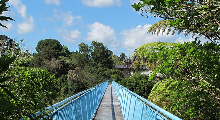 Moire Park Path - Bridge across Manutewhau Stream. Turn left at end to return to Moire Park.