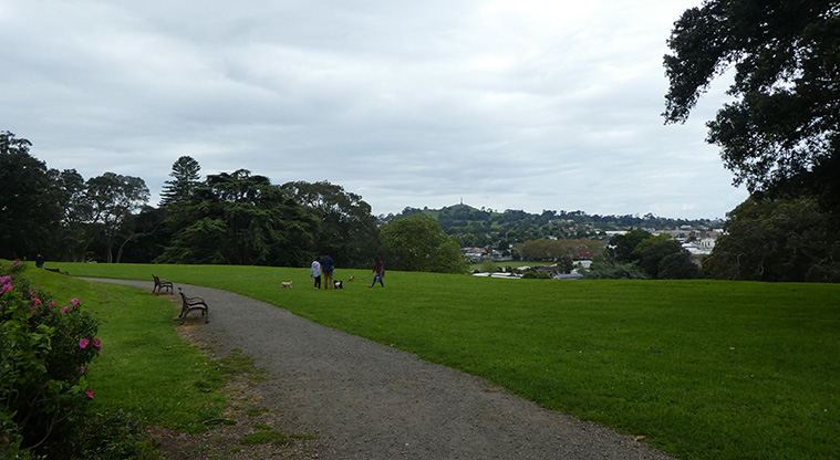 Monte Cecilia Path - View from the path towards Maungakiekie (One Tree Hill).