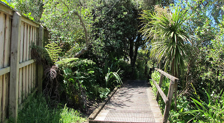 Murrays to Rothesay Bay Path - Short boardwalk section.