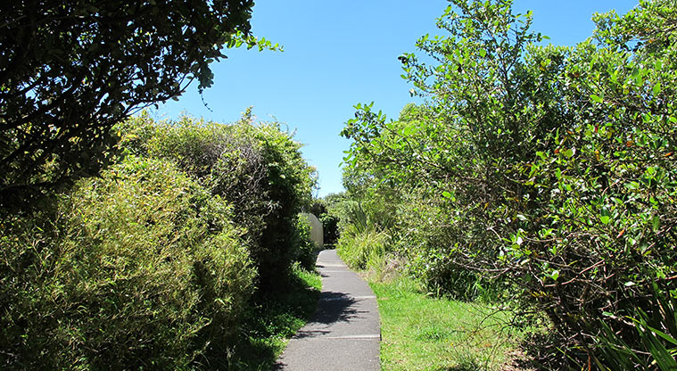 Murrays to Rothesay Bay Path - Typical section of the path.