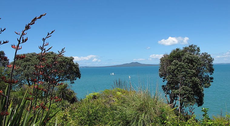 Murrays to Rothesay Bay Path - Spot Murrays Bay yachts sailing.