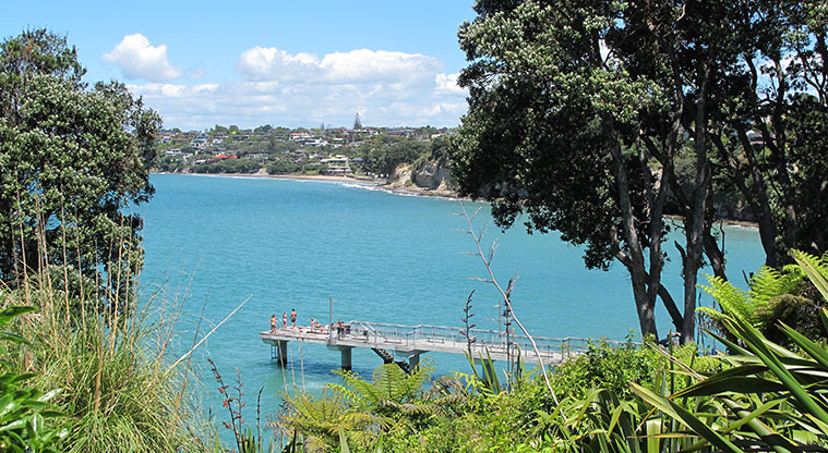 Murrays to Rothesay Bay Path - View down to Murrays Bay wharf.