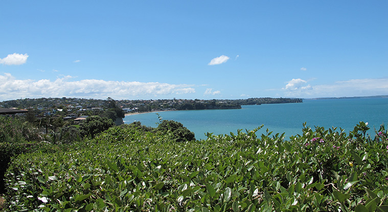 Murrays to Rothesay Bay Path - View north over Browns Bay.