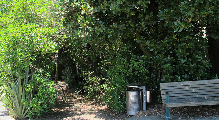 Murrays to Rothesay Bay Path - Access from Churchill Road.