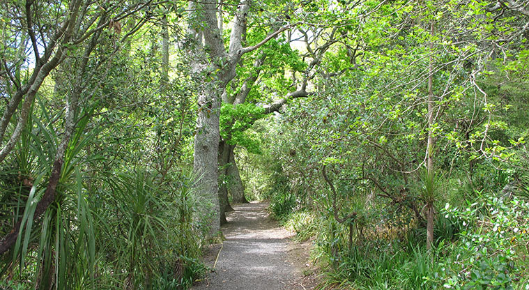 Murvale Path - Path weaves through a mixture of native and exotic trees.