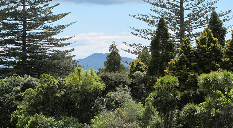 Murvale Path - Lookout views to Rangitoto.