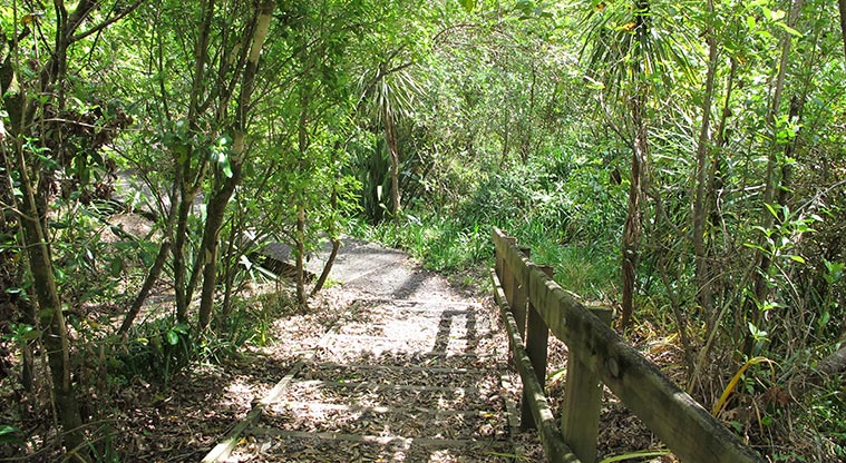 Murvale Path - Bridge back to the main path.