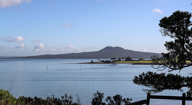 Musick Point Path - Elevated views to Rangitoto Island.