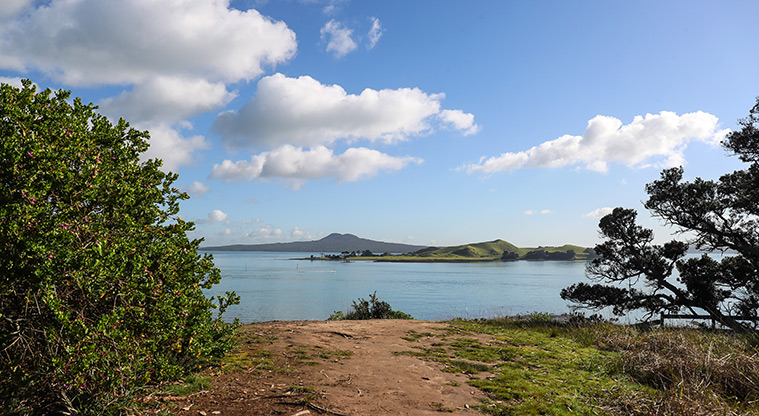 Musick Point Path - Glimpses of the Hauraki Gulf.