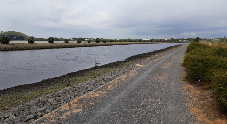 Māngere Foreshore Path - A section of path alongside Island Road.