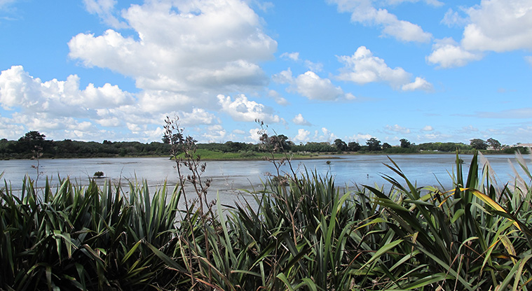 Māngere Lagoon Path - Views over lagoon from northern side.
