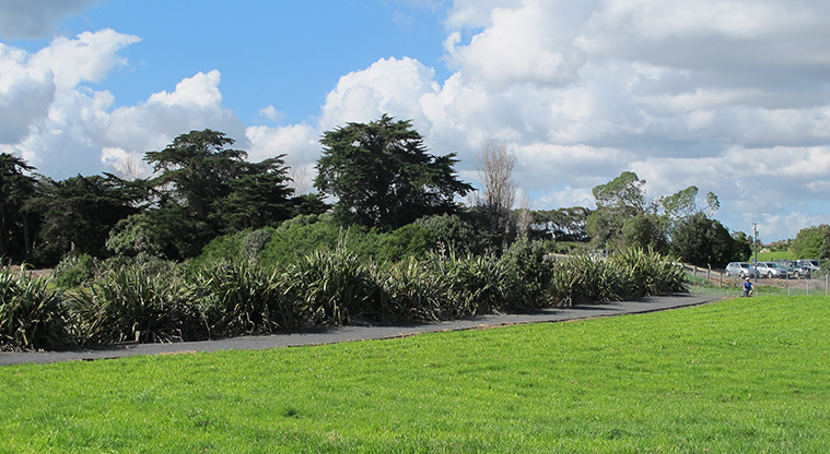 Māngere Lagoon Path - A section of path towards the end of the loop.