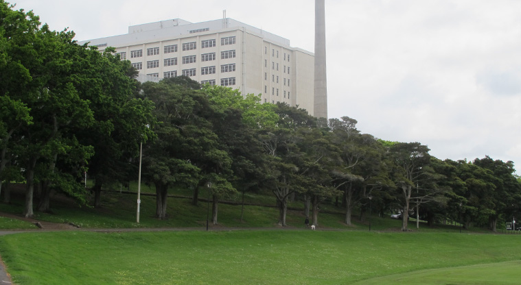 Newmarket to Ferry Terminal Path