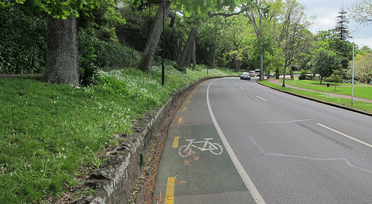 Newmarket to Ferry Terminal Path - Stay on the cycleway down Domain Drive past the duck ponds.