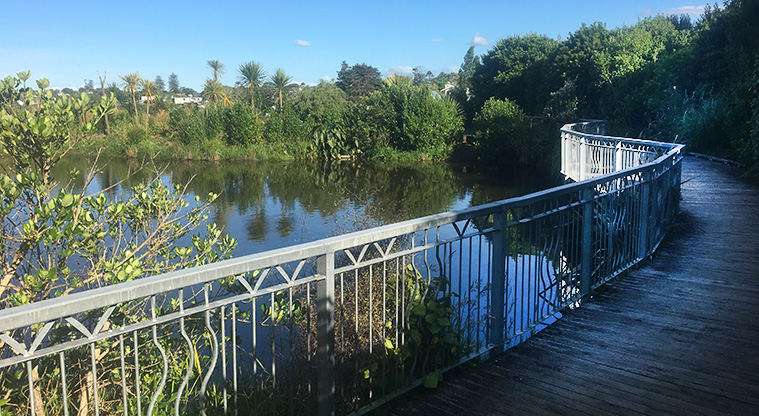Newmarket to Thomas Bloodworth Path - Section of the path around the pond in Newmarket Park.