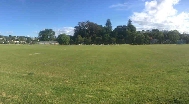 Newmarket to Thomas Bloodworth Path - View over Shore Road from the path.