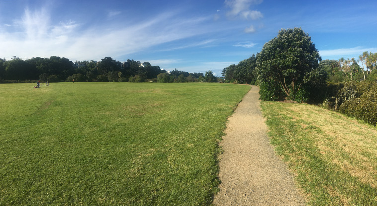 Newmarket to Thomas Bloodworth Path - The path around the edge of Shore Road Reserve.