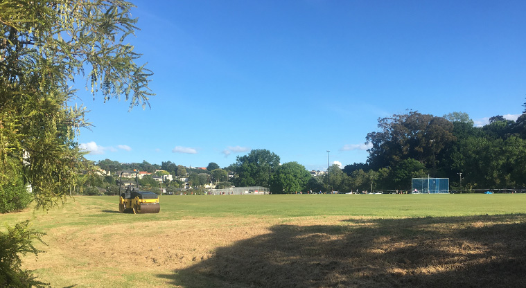 Newmarket to Thomas Bloodworth Path - The sport fields at Shore Road Reserve.
