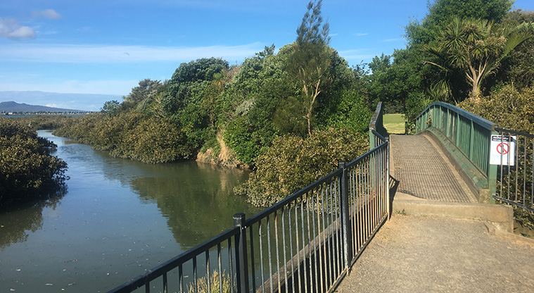 Newmarket to Thomas Bloodworth Path - The bridge entry to Thomas Bloodworth Park.