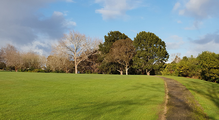 Ngāti Ōtara Path - A typical section of the path at Ngāti Ōtara Park.
