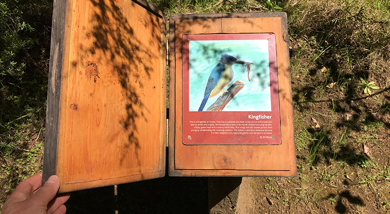Okiwi Park Path - Story about the kōtare / kingfisher.