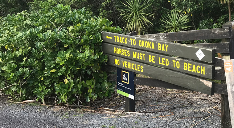 Okoka Beach Path - The path starts at the end of Margaret Reeve Lane.