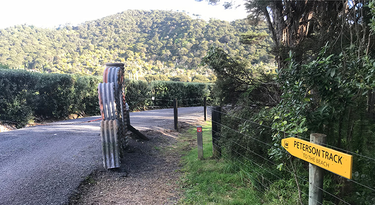Okoka Beach Path - Try to keep right on the access path called Petersons Track to the bay. The road here is private.
