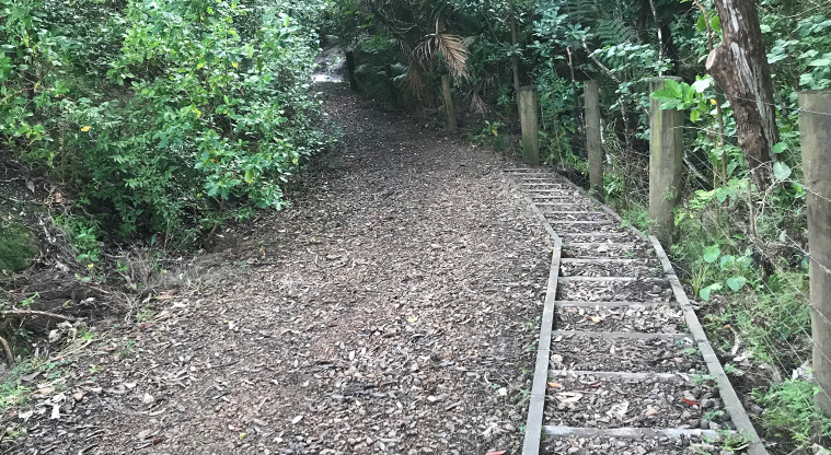 Okoka Beach Path - The beach access track starts quite steep, but quickly flattens out.