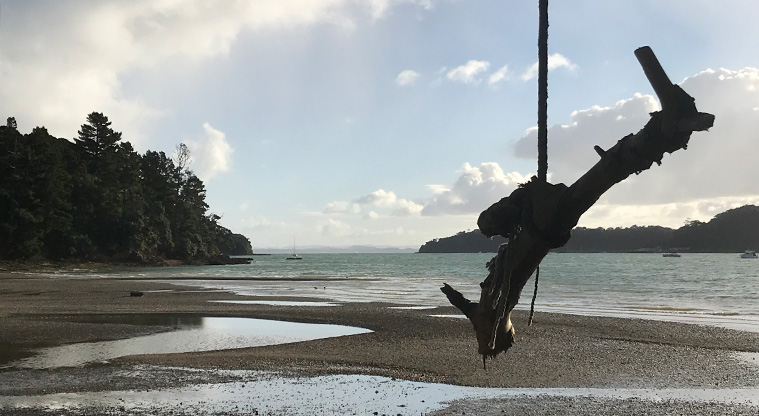 Okoka Beach Path - At the northern end of the beach you get views right out to Tamaki Strait.