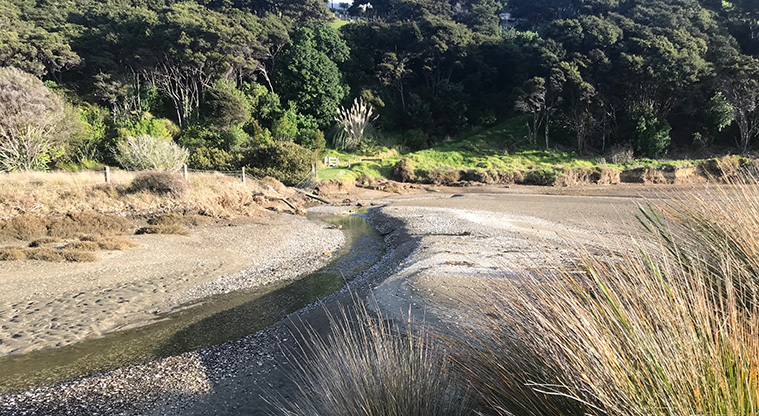 Okoka Beach Path - At the southern end of the beach is a natural stream with ever changing shell banks.