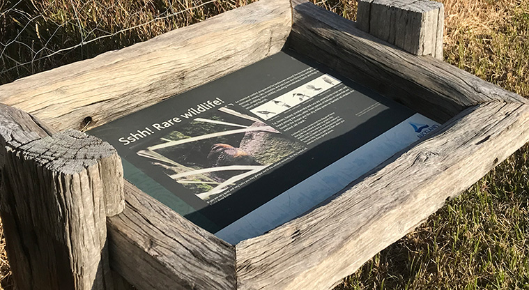 Okoka Beach Path - You might catch a glimpse of some special wildlife in the wetland area.