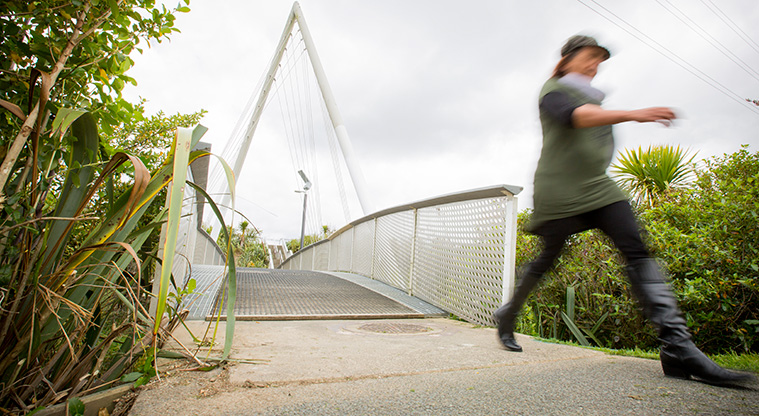 Olympic Park Path - Bridge over the Whau River in Olympic Park.