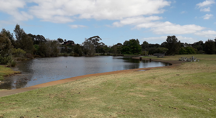 Onepoto Path - View while walking around the lake.