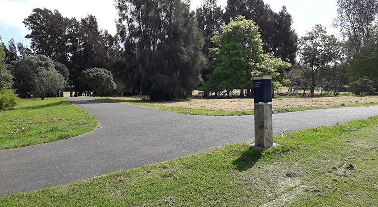 Onepoto Path - Path connecting to Tarahanga Street.