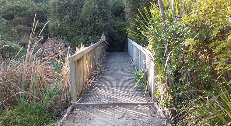 Onepoto Path - Bridge into forest.