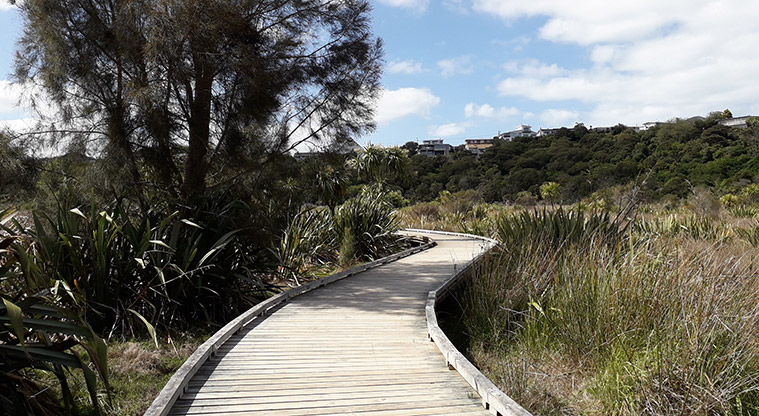 Onepoto Path - Boardwalk through the wetland.