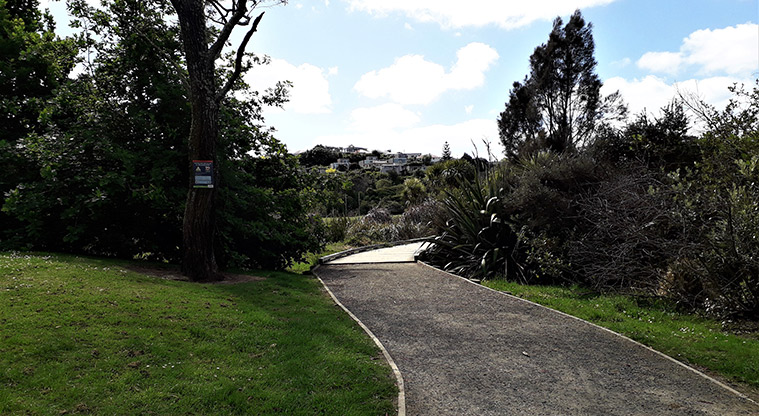 Onepoto Path - Gravel section from wetland.