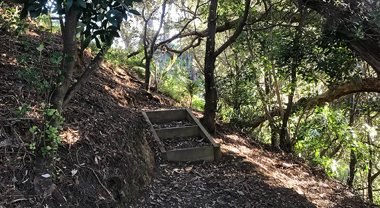 Onetangi Hidden Gems Path - Follow the path up to Pōhutukawa Reserve.