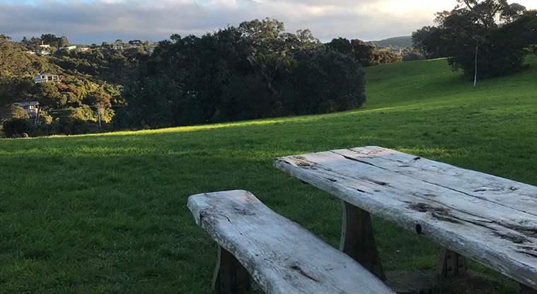 Onetangi Hidden Gems Path - This is where you leave Te Ara Hura and stay right along the top of the ridge.