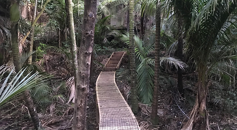 Onetangi Hidden Gems Path - This track has recently been upgraded and is now good all year round.
