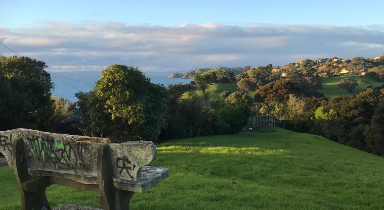 Onetangi Hidden Gems Path - Once out of Victoria Reserve you get to look back on where you came from.