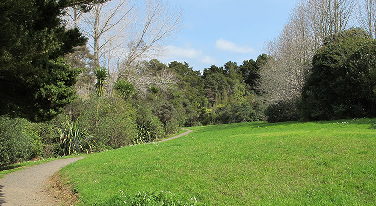 Opanuku Path - Path running alongside green space.