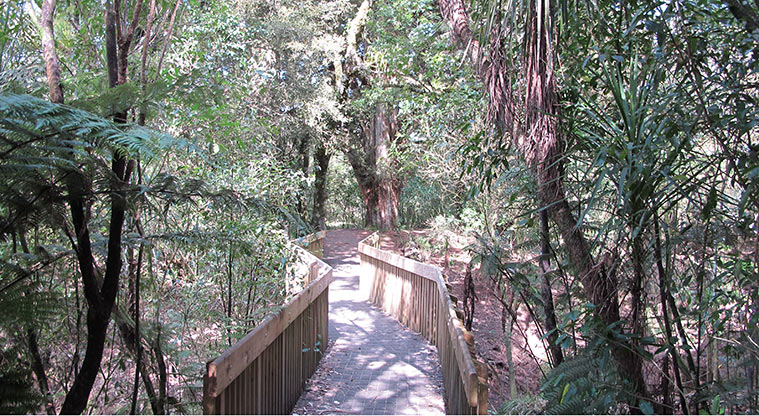 Opanuku Path - Some undulating sections.